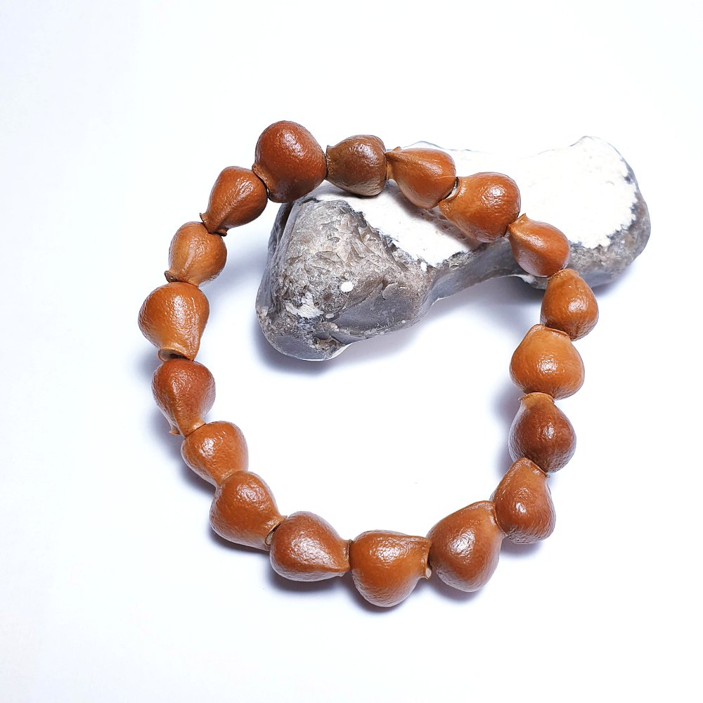 Semena klokočí - náramek