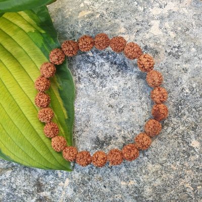 rudraksha